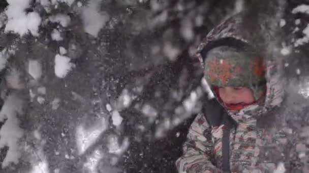 Ramo de neve bebê — Vídeo de Stock