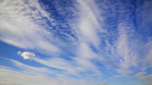 Dicke Wolken federn — Stockvideo