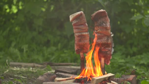 Peixe em um fogo aberto a visão dianteira — Vídeo de Stock