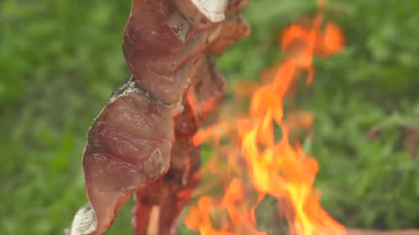 Peces en un fuego abierto el primer plano — Vídeos de Stock