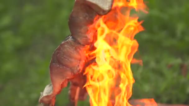 Peixe em um fogo aberto vista lateral de perto — Vídeo de Stock