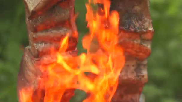 Ryby na otevřeném ohni čelní pohled zblízka — Stock video