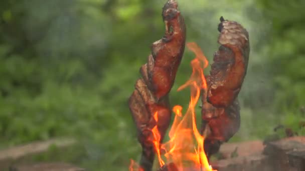 Trozos de pescado en un fuego abierto — Vídeos de Stock
