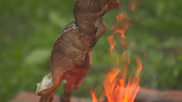 Ryby na oheň boční pohled — Stock video