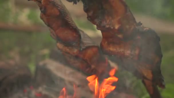 Pieces of fish on an open fire side view — Stock Video