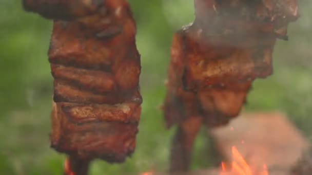 Trozos de pescado en una vista frontal de fuego abierto — Vídeos de Stock