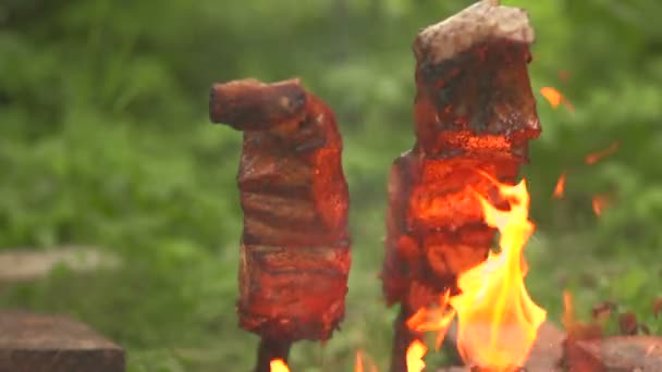 Koken stukken van vis op een open brand — Stockvideo