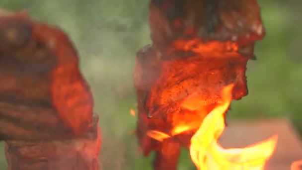 Cooking pieces of fish on an open fire close up — Stock Video