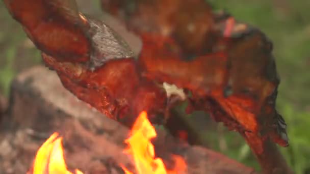 Cozinhar pedaços de peixe em uma vista lateral de fogo aberto de perto — Vídeo de Stock