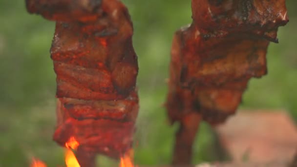 Närbild av matlagning bitar av fisk på en öppen eld framifrån — Stockvideo