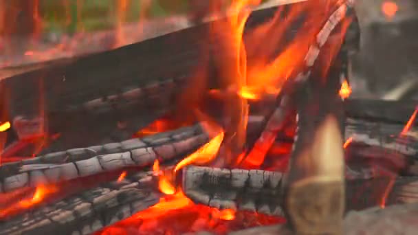 Brinnande trä närbild — Stockvideo