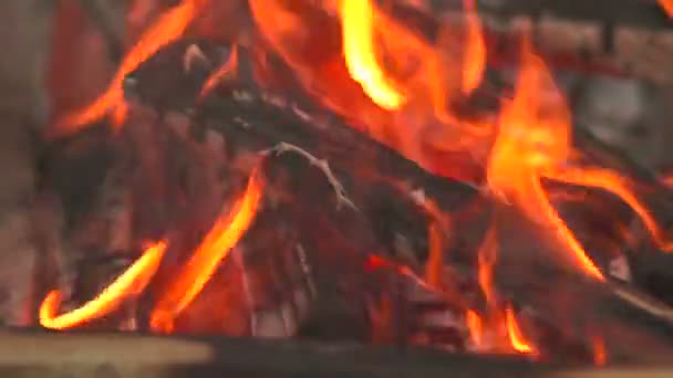 Odun ateşinde — Stok video