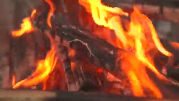 Dřevo v ohni closeup — Stock video