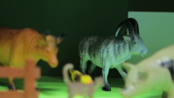 Toy  a animals — Stock Video