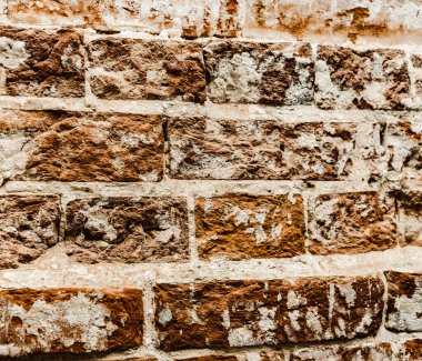 Selvi duvar deseni kırmızı selvi blokları, yakın plan, eski harap duvar.