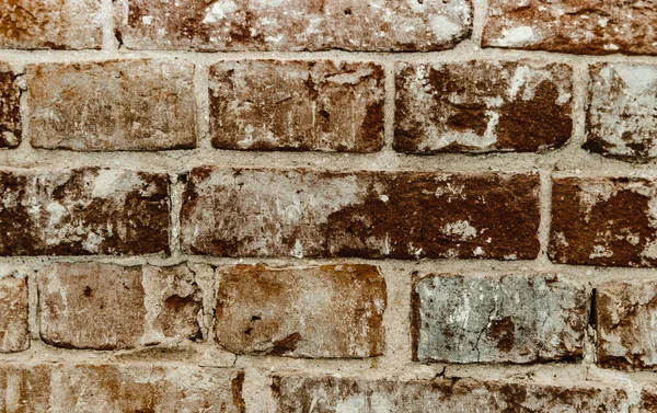 cypress wall texture pattern red cypress blocks, close-up, old dilapidated wall.