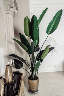 Tasarımcı apartman iç raf dolabı hediyelik eşya şişeleri biblolar ayna masa sandalyesi