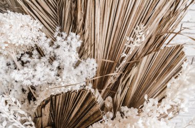 Beyaz bir vazoda, bej kumaş arkaplanda duran kuru ve güzel çiçeklerin süslemeleri. Sınıfta.