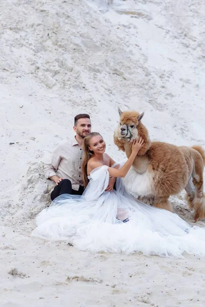 海のビーチで屋外で結婚式の日に美しい結婚式のカップルの花嫁と新郎。幸せな結婚 — ストック写真