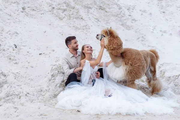 海のビーチで屋外で結婚式の日に美しい結婚式のカップルの花嫁と新郎。幸せな結婚 — ストック写真