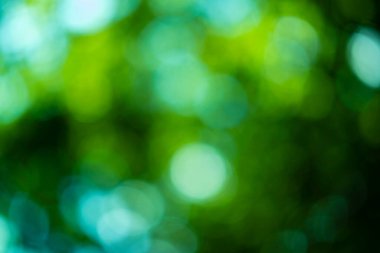 soyut yeşil bulanık ve güneş ışığı arkaplanı