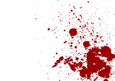 dark red splash on white background. Vector illustration. Grunge