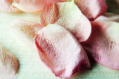 Gül yaprakları ve su damlaları