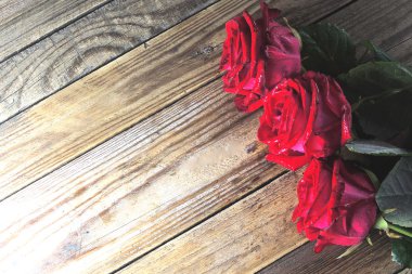 Ahşap arkaplanda kırmızı gül