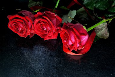 kırmızı gül ve onun yansıması