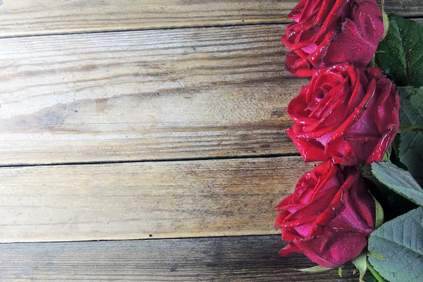 Rode roos op houten achtergrond — Stockfoto