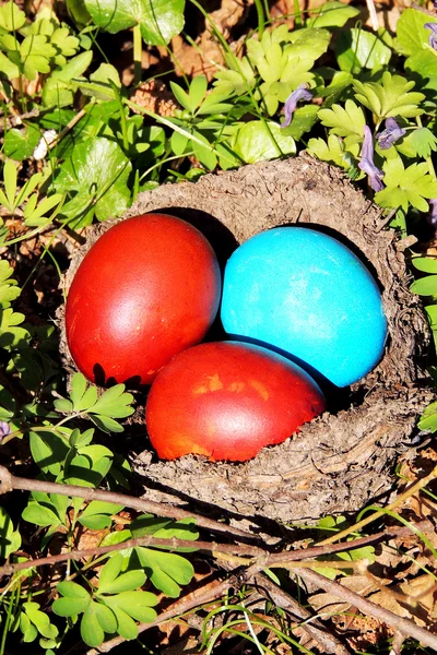 Раскрашенные яйца в гнезде — стоковое фото