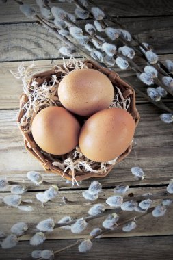 Tavuk yumurtası ve willow