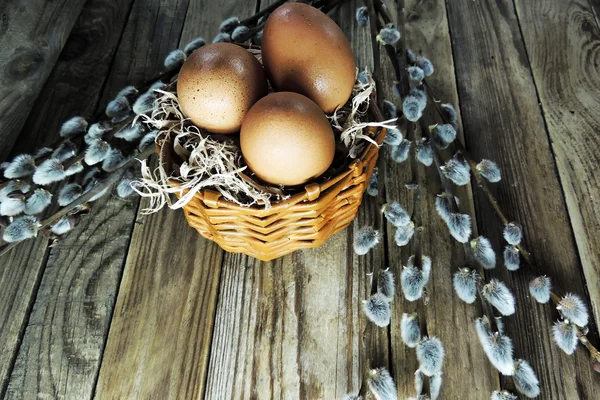 Œufs de poulet et saule — Photo