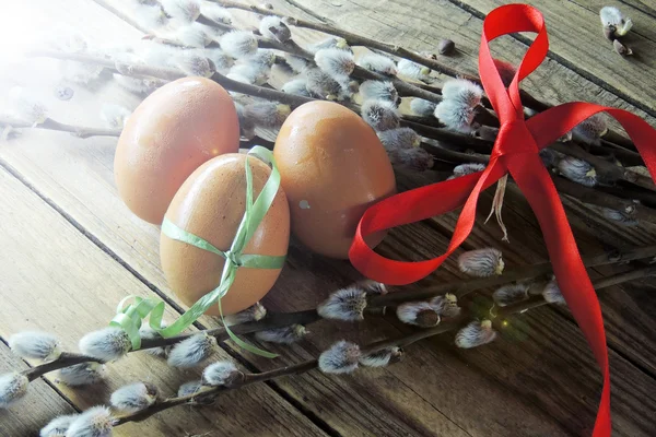 Tavuk yumurtası ve willow — Stok fotoğraf