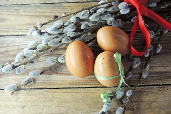 Slepičí vejce a willow — Stock fotografie