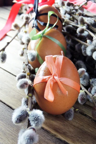 Αυγά κότας και ιτιές — Φωτογραφία Αρχείου