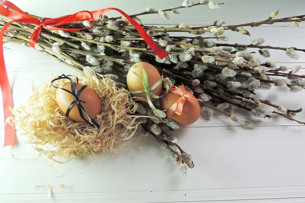 Slepičí vejce a willow — Stock fotografie
