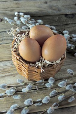 Tavuk yumurtası ve willow