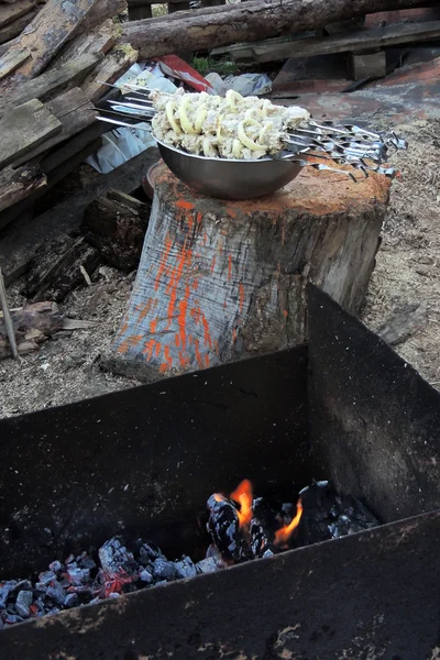 Νωπό shashlik σε σουβλάκι — Φωτογραφία Αρχείου