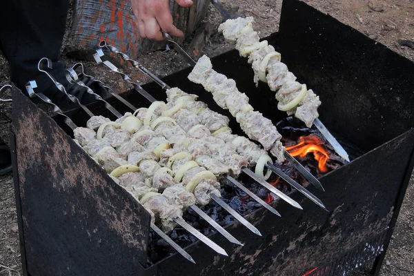 Shashlik cru sur une brochette — Photo