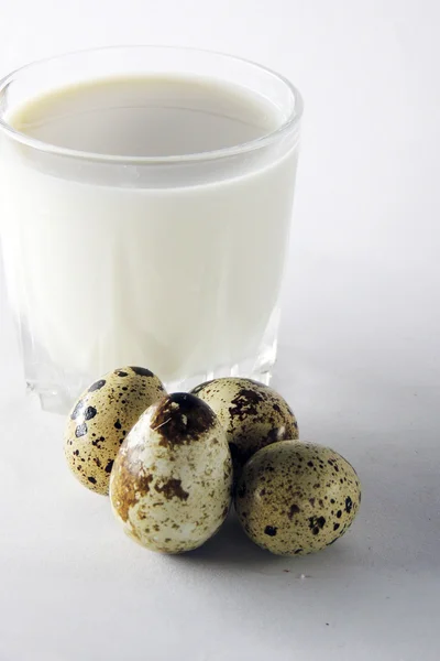 Перепелиные яйца и молоко — стоковое фото
