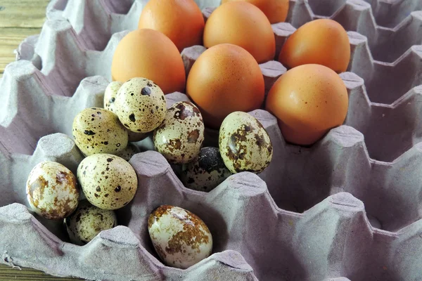 Huevos de codorniz y pollo en la bandeja —  Fotos de Stock