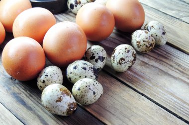 tavuk ve Bıldırcın yumurta 