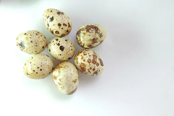 Beyaz arka planda bıldırcın yumurtaları — Stok fotoğraf