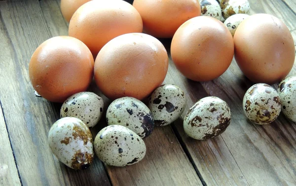 Tavuk ve Bıldırcın yumurta — Stok fotoğraf