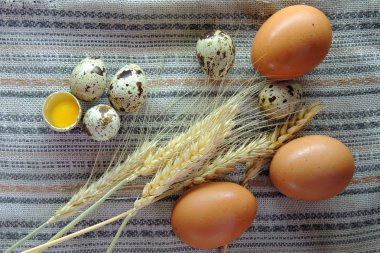 Tavuk ve bıldırcın yumurtası, buğday 