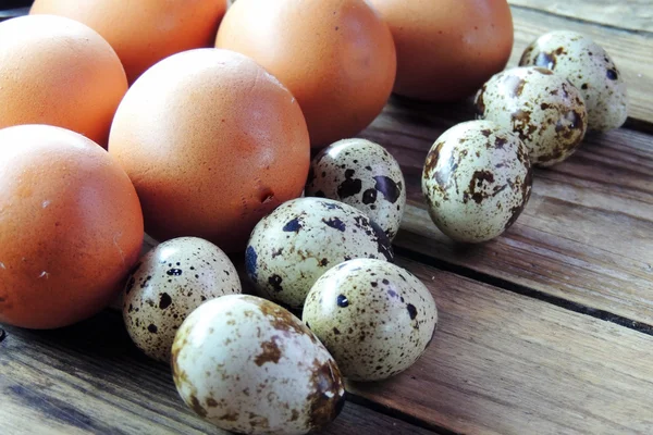 Œufs de poulet et de caille — Photo