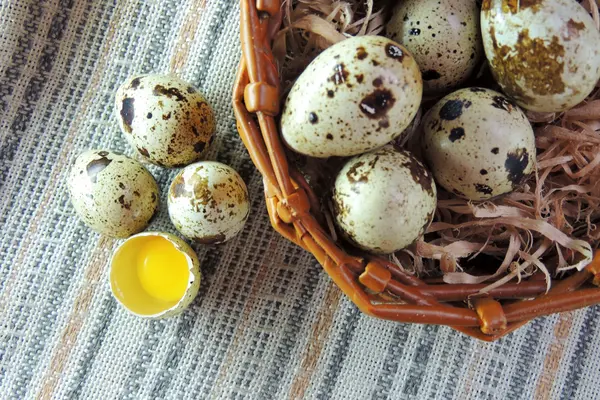 Œufs de poulet et de caille, blé — Photo