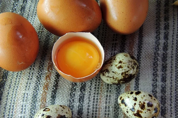 Kip en kwartel eieren, tarwe — Stockfoto