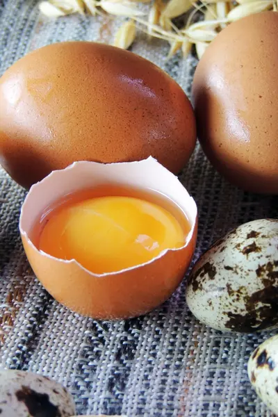 Tavuk ve bıldırcın yumurtası, buğday — Stok fotoğraf